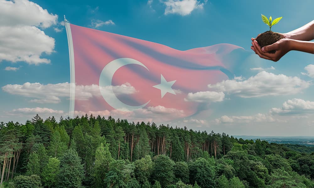 Baumpflanzung - Türkei
