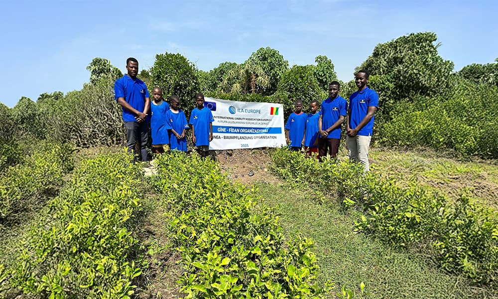 2025 Baumpflanzung in Guinea abgeschlossen